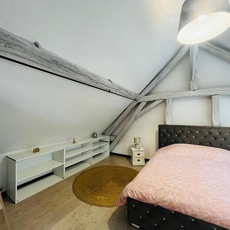 Appartement Ideal Au Coeur D Auxerre Luaran gambar