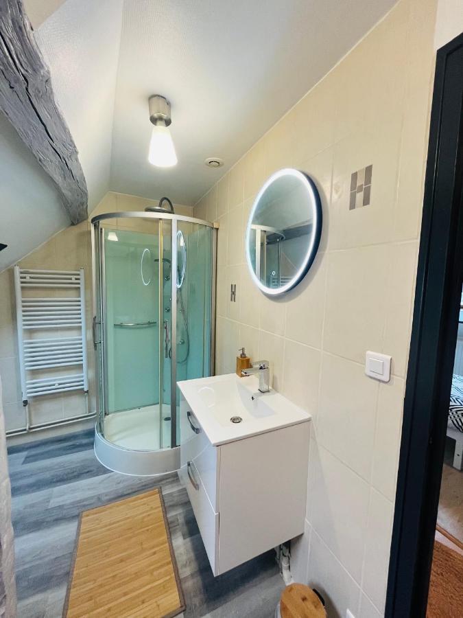Appartement Ideal Au Coeur D Auxerre Luaran gambar